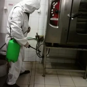 Deratizare - dezinsectie - dezinfectie Arges