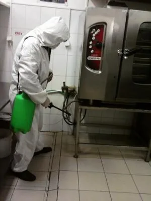 Deratizare - dezinsectie - dezinfectie Arges