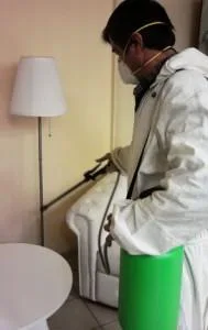 Deratizare - dezinsectie - dezinfectie Arges