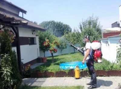 Deratizare - dezinfectie Bucuresti