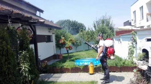 Deratizare - dezinfectie Bucuresti