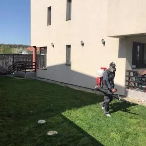 Deratizare - dezinfectie Bucuresti