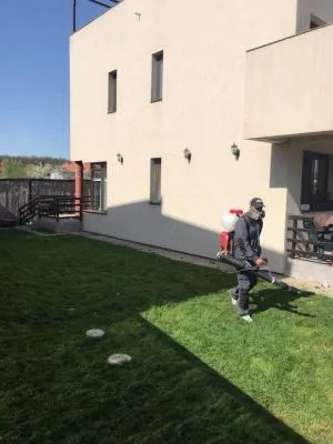 Deratizare - dezinfectie Bucuresti