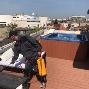 Deratizare - dezinfectie Bucuresti