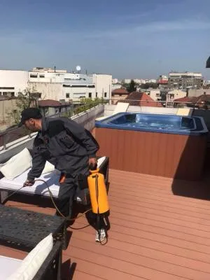 Deratizare - dezinfectie Bucuresti