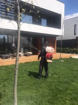 Deratizare - dezinfectie Bucuresti