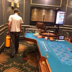 Deratizare - dezinfectie Bucuresti