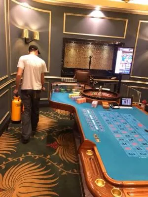 Deratizare - dezinfectie Bucuresti