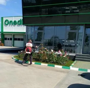 Deratizare - dezinfectie Bucuresti