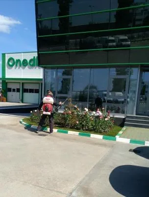 Deratizare - dezinfectie Bucuresti