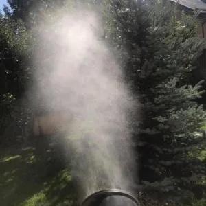 Deratizare - dezinfectie Bucuresti