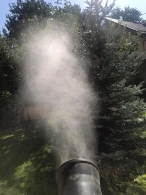 Deratizare - dezinfectie Bucuresti