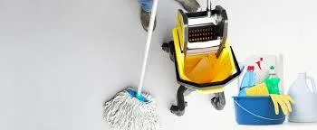 Clean 4 You Servicii de curatenie de inalta calitate Bucuresti