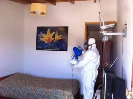 Conex Clean Servicii profesionale de curatenie si DDD Bucuresti