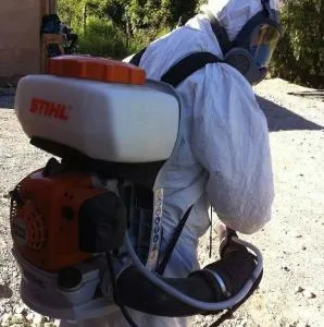 Conex Clean Servicii profesionale de curatenie si DDD Bucuresti
