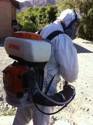 Conex Clean Servicii profesionale de curatenie si DDD Bucuresti