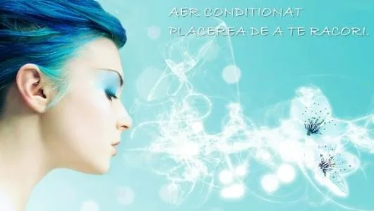 Reparatii aer conditionat Bucuresti si Ilfov