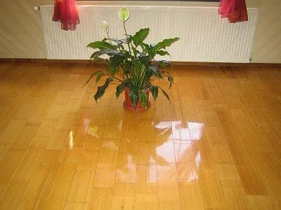 Parchet stratificat - scari interioare - deck si lambriuri - Craiova