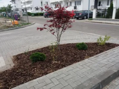 Peisagistica - amenajari gradini si spatii verzi Suceava