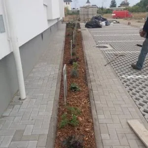Peisagistica - amenajari gradini si spatii verzi Suceava