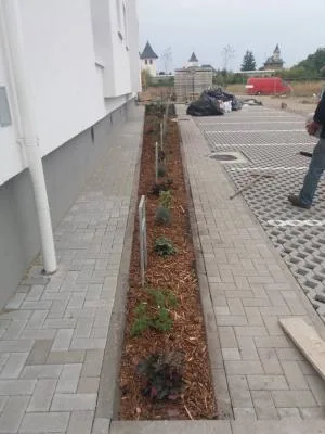 Peisagistica - amenajari gradini si spatii verzi Suceava