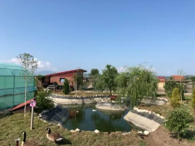 Brasov - Amenajari gradini