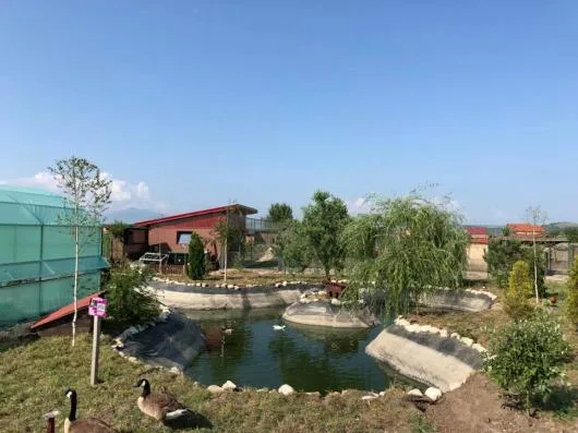 Brasov - Amenajari gradini