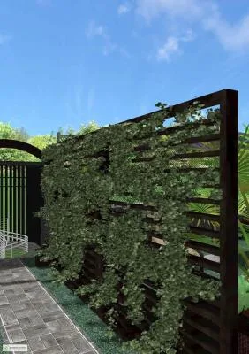 Brasov - Amenajari gradini