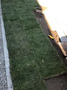 Brasov - Amenajari gradini