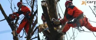 Alpinism utilitar si industrial Cluj