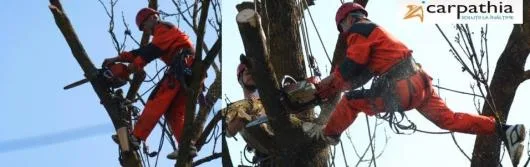 Alpinism utilitar si industrial Cluj
