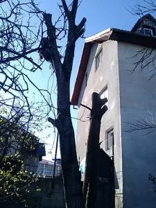 Alpinism utilitar si industrial Cluj