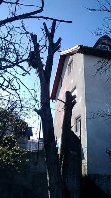 Alpinism utilitar si industrial Cluj