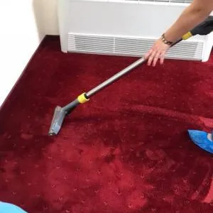 Lusitana Clean -Servicii de curatenie Piatra Neamt