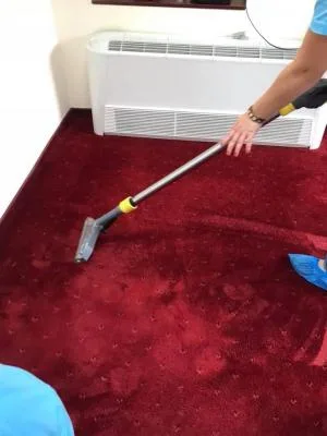 Lusitana Clean -Servicii de curatenie Piatra Neamt