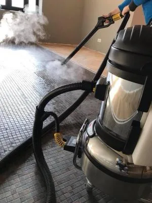Lusitana Clean -Servicii de curatenie Piatra Neamt