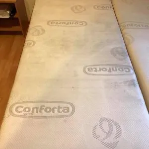 Lusitana Clean -Servicii de curatenie Piatra Neamt