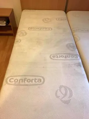 Lusitana Clean -Servicii de curatenie Piatra Neamt