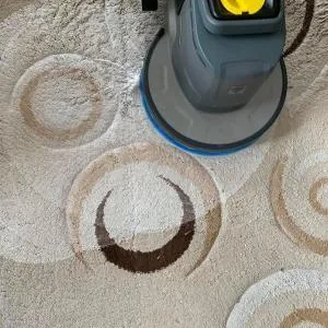 Lusitana Clean -Servicii de curatenie Piatra Neamt