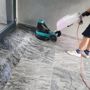 Edbritclean firma de curatenie Iasi