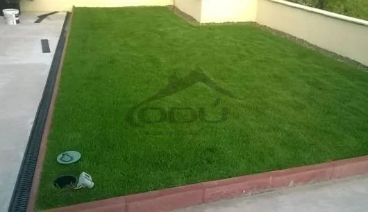 Targu Mures - Proiectarea,amenajare acoperisuri verzi
