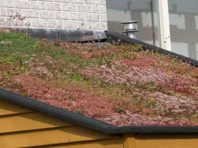 Targu Mures - Proiectarea,amenajare acoperisuri verzi