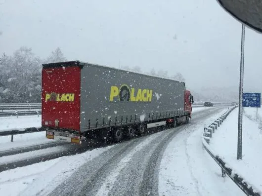 Polach Logistics & Transport international rutier de marfa