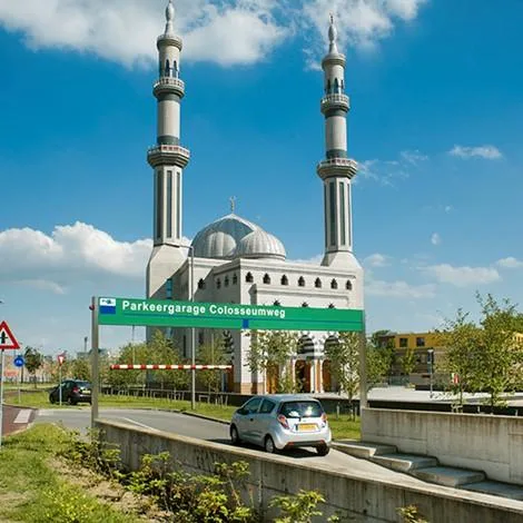 Sisteme de acoperisuri verzi Bucuresti