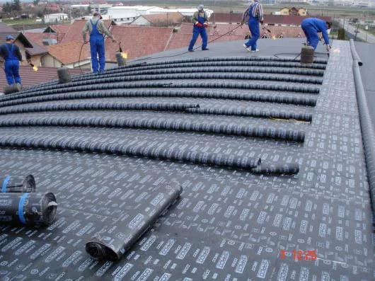 Lucrari de hidroizolatii si termoizolatii - Sfantu Gheorghe / Covasna