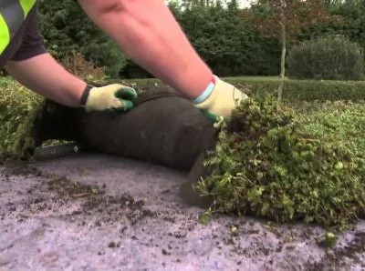 Lucrari de hidroizolatii si termoizolatii - Sfantu Gheorghe / Covasna