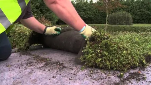 Lucrari de hidroizolatii si termoizolatii - Sfantu Gheorghe / Covasna