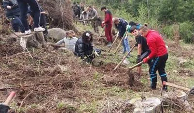 Urbanism - cadastru - racordari la reteaua de gaze - Bucuresti