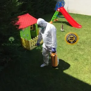 Dezinsectie - deratizare si dezinfectie - Bucuresti si Ilfov