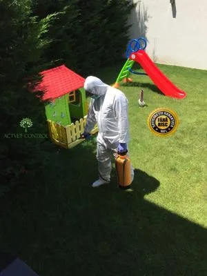 Dezinsectie - deratizare si dezinfectie - Bucuresti si Ilfov